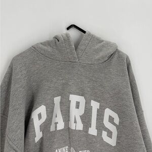 Anine Bing Aiden University Paris Distressed Hoodie In Heather Grey